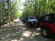 line_up