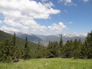 mountain_view