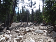 rock_garden_part_2