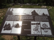 saxon_mountain_sign