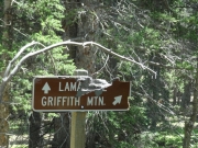 to_griffith_mountain
