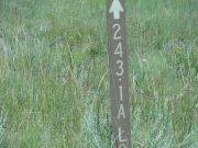 goose_chase_loop_sign