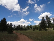 goose_chase_loop_start