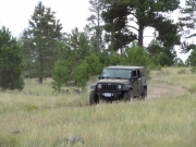 julie_on_the_trail