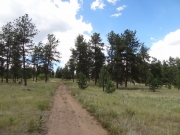 little-used_trail