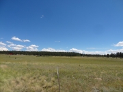 open_space