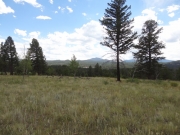 pikes_peak_part_1