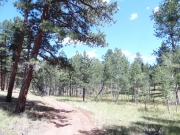 spur