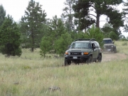 walt_on_the_trail