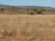 big_view