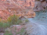 down_in_the_canyon