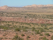 slickrock_in_the_distance