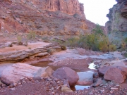 spring_canyon