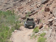 bob_on_the_trail
