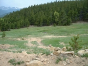 cool_campsite