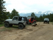 jeeps_in_the_meadow