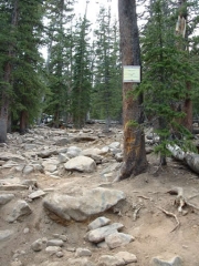 rock_garden_part_4