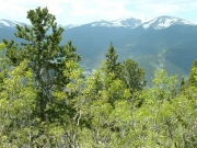 scenery