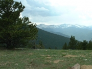 the_meadow