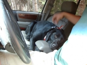 tired_murphy
