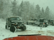 jeeps
