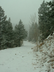 snowy_trail_part_1
