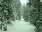 snowy_trail_part_4