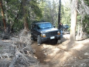 julie_in_the_rock_garden_part_3