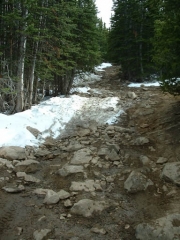 snowy_trail