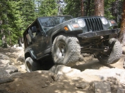 bob_at_the_top_of_the_rock_garden_part_1