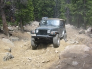 bob_in_the_rock_garden_part_2
