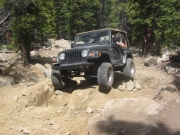 bob_in_the_rock_garden_part_3