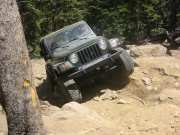 bob_in_the_rock_garden_part_4