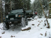 everyone_on_the_trail