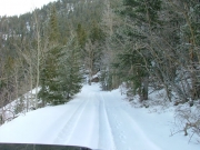 fluffy_trail