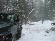 in_the_snow