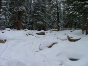 rock_garden_part_1
