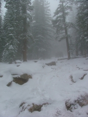 rock_garden_part_3