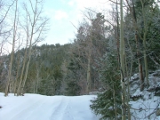 snowy