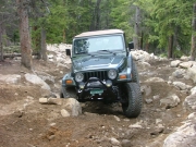austin_in_the_rock_garden_part_2