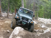 austin_in_the_rock_garden_part_3