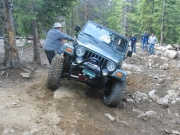 austin_in_the_rock_garden_part_4