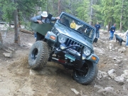austin_in_the_rock_garden_part_5