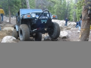 austin_in_the_rock_garden_part_6