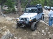 dane_in_the_rock_garden_part_1