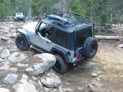 dane_in_the_rock_garden_part_2
