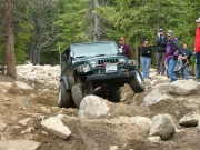 eric_in_the_rock_garden_part_1
