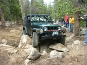 eric_in_the_rock_garden_part_4