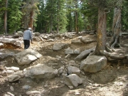rock_garden