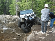 tom_in_the_rock_garden_part_2